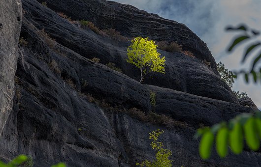 bastei-3728708__340.jpg