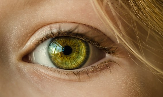 eye-1132531__340.jpg