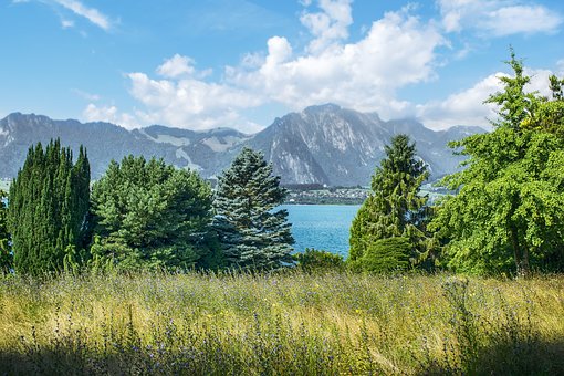 lake-3854093__340.jpg