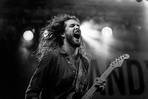 musician-1658887__340.jpg
