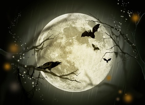 halloween-72939__340.jpg