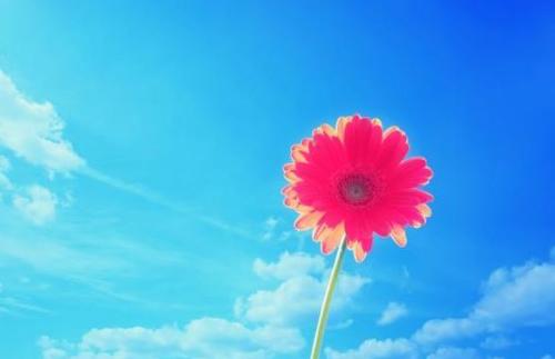 u=4186815847,1003982764&fm=26&gp=0.jpg