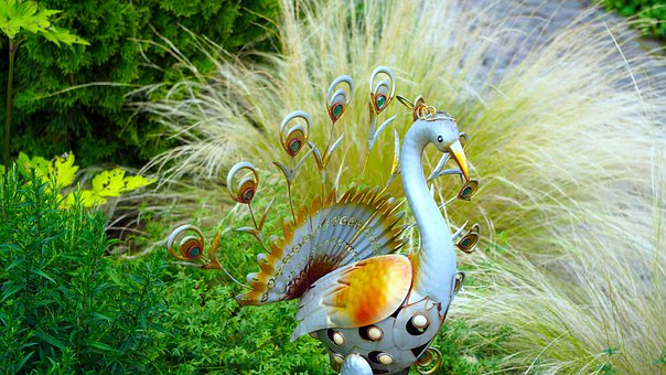 peacock-4365357__340.jpg