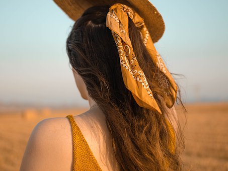 field-4346919__340.jpg