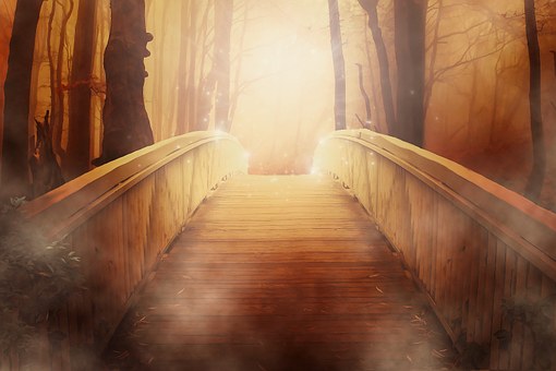bridge-19513__340.jpg
